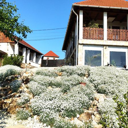 Tokaj Hill Panorama Guesthouse Szerencs Exterior photo