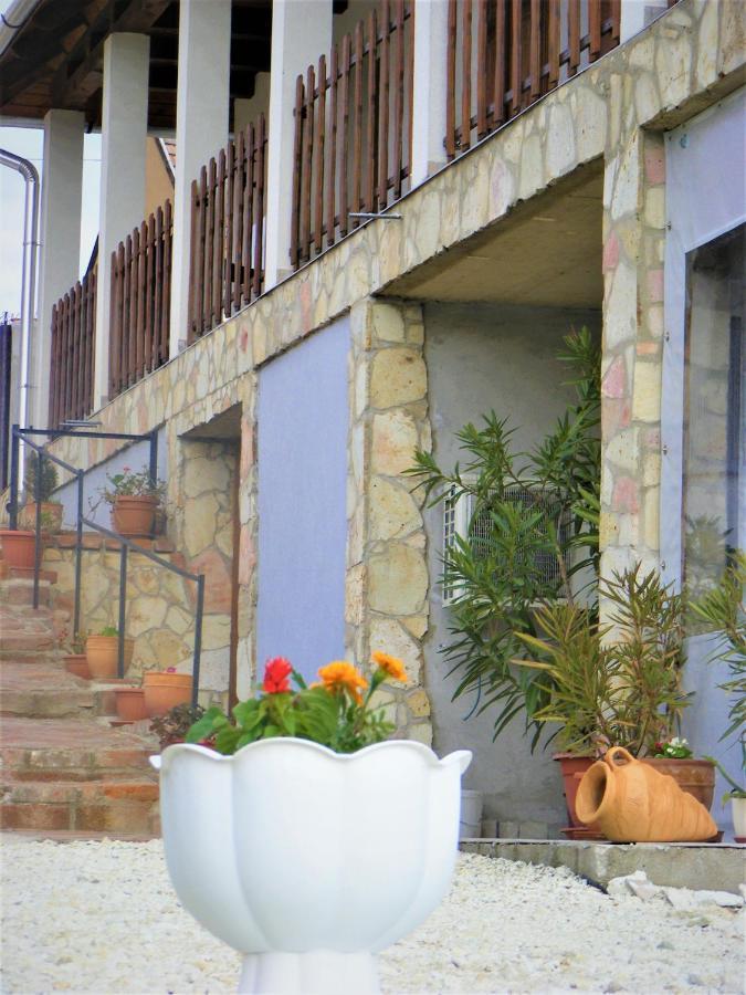 Tokaj Hill Panorama Guesthouse Szerencs Exterior photo