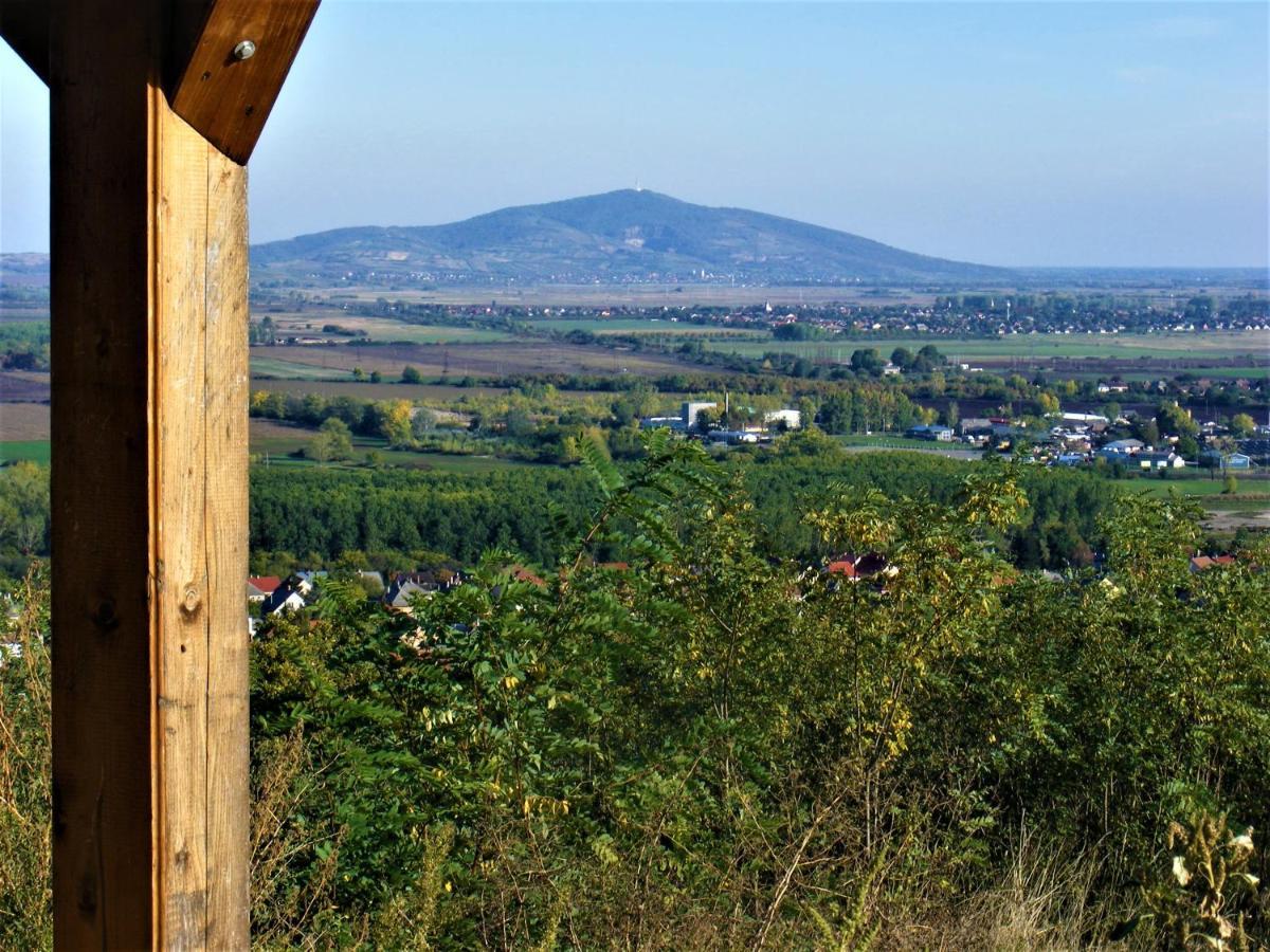 Tokaj Hill Panorama Guesthouse Szerencs Exterior photo