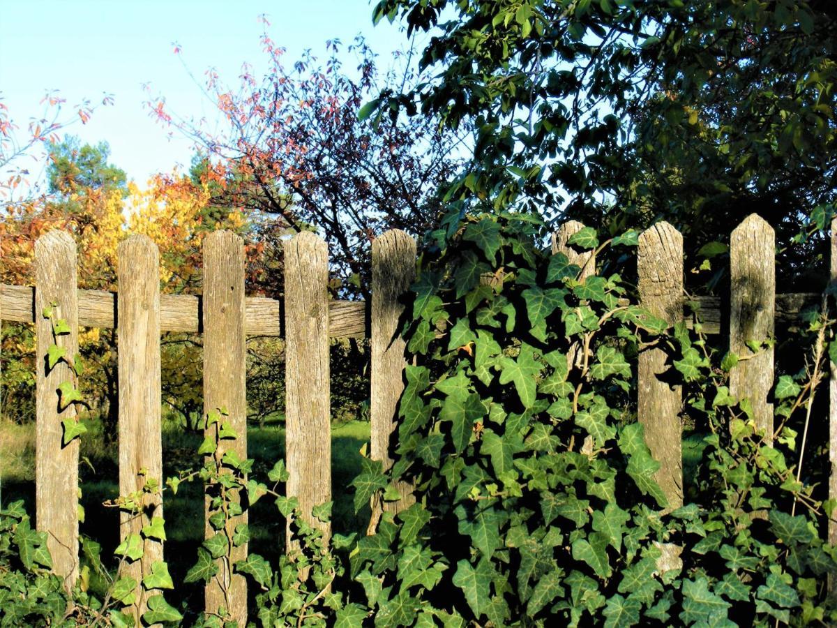 Tokaj Hill Panorama Guesthouse Szerencs Exterior photo