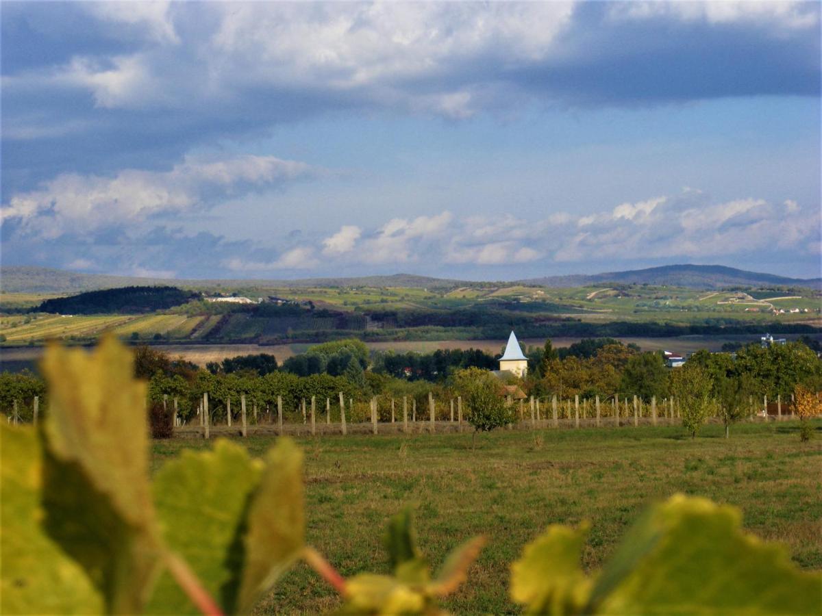 Tokaj Hill Panorama Guesthouse Szerencs Exterior photo