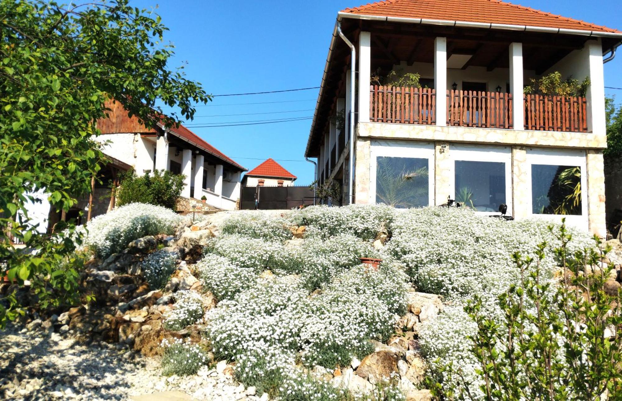 Tokaj Hill Panorama Guesthouse Szerencs Exterior photo